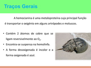 Traços Gerais
A hemocianina é uma metaloproteína cuja principal função
é transportar o oxigénio em alguns artrópodes e moluscos.
• Contém 2 átomos de cobre que se
ligam reversivelmente ao O2.
• Encontra-se suspensa na hemolinfa.
• A forma desoxigenada é incolor e a
forma oxigenada é azul.
 