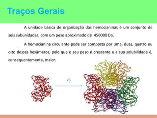 A unidade básica de organização das hemocianinas é um conjunto de
seis subunidades, com um peso aproximado de 450000 Da.
A hemocianina circulante pode ser composta por uma, duas, quatro ou
oito desses hexâmeros, pelo que o seu peso é crescente e a sua solubilidade é,
consequentemente, maior.
x6
Traços Gerais
 