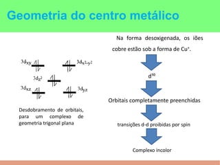 Na forma desoxigenada, os iões
cobre estão sob a forma de Cu+.
Geometria do centro metálico
Desdobramento de orbitais,
para um complexo de
geometria trigonal plana
d¹⁰
transições d-d proibidas por spin
Orbitais completamente preenchidas
Complexo incolor
 