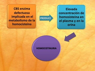 CBS enzima                             Elevada
   defectuosa                        concentración de
 implicada en el      PRODUCE        homosisteina en
metabolismo de la                    el plasma y en la
  homocisteina                             orina




                    HOMOCISTINURIA
 