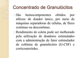 Concentrado de Granulócitos 
São hemocomponentes obtidos por 
aférese de doador único, por meio de 
máquinas separadoras de células, de fluxo 
contínuo ou descontínuo. 
Rendimento de coleta pode ser melhorado 
pela utilização de doadores estimulados 
com a administração de fator estimulador 
de colônias de granulócitos (G-CSF) e 
corticosteróides. 
 