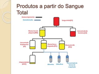 Produtos a partir do Sangue 
Total 
 