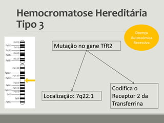 Hemocromatose Hereditária
Tipo 3
Mutação no gene TfR2
Codifica o
Receptor 2 da
Transferrina
Localização: 7q22.1
Doença
Autossómica
Recessiva
 