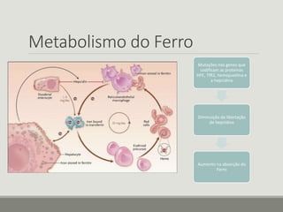 Metabolismo do Ferro
Mutações nos genes que
codificam as proteínas
HFE, TfR2, hemojuvelina e
a hepcidina
Diminuição da libertação
de hepcidina
Aumento na absorção do
Ferro
 