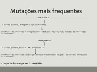 Mutações mais frequentes
Mutação C282Y
3º exão do gene HFE, mutação GA (nucleótido 845)
Substituição do aminoácido cisteína pelo aminoácido tirosina na posição 282 da cadeia de aminoácidos
da proteína HFE.
Mutação H63D
2º Exão do gene HFE, mutação CG (nucleótido 187)
Substituição do aminoácido histidina pelo aminoácido aspartato na posição 63 da cadeia de aminoácidos
da proteína HFE.
Compostos heterozigoticos C282Y/H63D
 