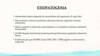ETIOPATOGENIA
• Homeostasis hierro depende las necesidades del organismo (1 mgr/dia)
• Hierro férrico a ferroso mediante r...
