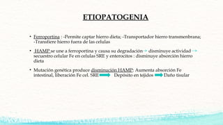 ETIOPATOGENIA
• Ferroportina : -Permite captar hierro dieta; -Transportador hierro transmenbrana;
-Transfiere hierro fuera...