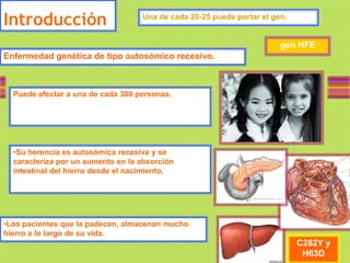 Introducción                       Una de cada 20-25 puede portar el gen.


                                                                       gen HFE
Enfermedad genética de tipo autosómico recesivo.



  Puede afectar a una de cada 300 personas.




  •Su herencia es autosómica recesiva y se
  caracteriza por un aumento en la absorción
  intestinal del hierro desde el nacimiento.




•Los pacientes que la padecen, almacenan mucho
hierro a lo largo de su vida.
                                                                            C282Y y
                                                                             H63D
 