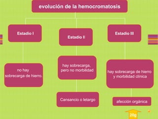 evolución de la hemocromatosis




      Estadio I                                     Estadio III
                              Estadio II




                            hay sobrecarga,
      no hay               pero no morbilidad   hay sobrecarga de hierro
sobrecarga de hierro.                              y morbilidad clínica




                          Cansancio o letargo       afección orgánica


                                                            20g
 