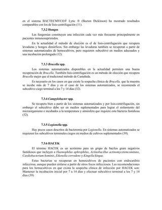 en el sistema BACTECMYCO/F Lytic  (Becton Dickinson) ha mostrado resultados
comparables con los de lisis-centrifugación (11).
7.3.2 Hongos
Las fungemias constituyen una infección cada vez más frecuente principalmente en
pacientes inmunosuprimidos.
En la actualidad el método de elección es el de lisis-centrifugación que recupera
levaduras y hongos dimórficos. Sin embargo las levaduras también se recuperan a partir de
sistemas automatizados de hemocultivos, pero requieren subcultivo en medios adecuados y
una incubación prolongada (12).
7.3.3 Brucella spp.
Los sistemas automatizados disponibles en la actualidad permiten una buena
recuperación de Brucella. También lisis-centrifugación es un método de elección que recupera
Brucella mejor que el tradicional método de Castañeda.
Es necesario en los casos en que existe la sospecha clínica de Brucella, que la muestra
se incube más de 7 días y en el caso de los sistemas automatizados, se recomienda el
subcultivo ciego terminal a los 7 y 14 días (32).
7.3.4 Campylobacter spp.
Se recupera bien a partir de los sistemas automatizados y por lisis-centrifugación, sin
embargo el subcultivo debe ser en medios suplementados para lograr el aislamiento del
microorganismo e incubados a la temperatura y atmósfera que requiere esta bacteria fastidiosa
(32).
7.3.5 Legionella spp.
Hay pocos casos descritos de bacteremia por Legionella. En sistemas automatizados se
requieren los subcultivos terminales ciegos en medios de cultivos suplementados (39).
7.3.6 HACEK
El término HACEK es un acrónimo para un grupo de bacilos gram negativos
fastidiosos que incluyen a Haemophilus aphrophilus, Actinobacillus actinomycetemcomitans,
Cardiobacterium hominis, Eikenella corrodens y Kingella kingae.
Estas bacterias se recuperan en hemocultivos de pacientes con endocarditis
infecciosa, aunque pueden aislarse a partir de otros focos infecciosos. Las recomendaciones
para los hemocultivos en que exista la sospecha clínica de infección por HACEK son:
Mantener la incubación inicial por 7 a 14 días y efectuar subcultivo terminal a los 7 y 14
días (39)
 