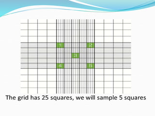 It is a technique used tienumerate the total cell count in the blood or ...