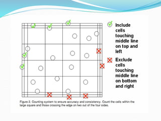It is a technique used tienumerate the total cell count in the blood or ...