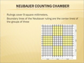  Rulings cover 9 square millimeters. 
 Boundary lines of the Neubauer ruling are the center lines of 
the groups of three 
 