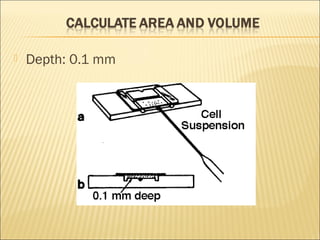  Depth: 0.1 mm 
 