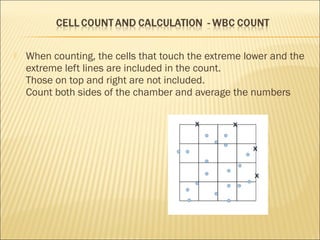  When counting, the cells that touch the extreme lower and the 
extreme left lines are included in the count. 
Those on top and right are not included. 
Count both sides of the chamber and average the numbers 
 