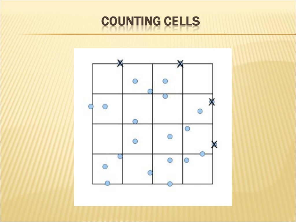 Hemocytometer manual cell counting (1)