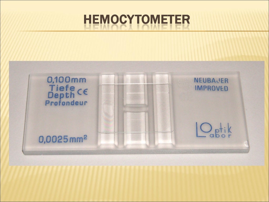 Hemocytometer manual cell counting (1)