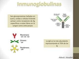 Son glucoproteínas halladas en
suero, unidas a células B donde
actúan como receptores de Ag
específicos o estan libres en la
sangre como anticuerpos
La IgG es la más abundante
representando el 70% de las
Ig
Abbud J. Kouefati Dos S.
 