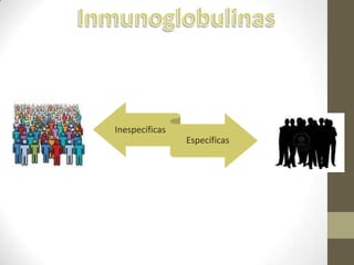 Inespecíficas
Específicas
 