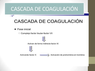 CASCADA DE COAGULACIÓN
 