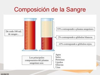 Composición de la Sangre
 