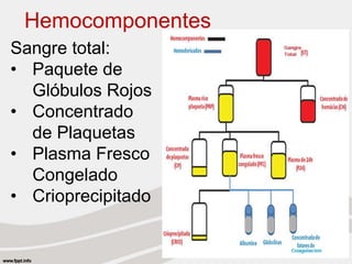 Hemocomponentes
Sangre total:
• Paquete de
Glóbulos Rojos
• Concentrado
de Plaquetas
• Plasma Fresco
Congelado
• Crioprecipitado
 