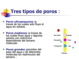 Tres tipos de poros :
   Poros ultrapequenos :a
    traves de los cuales solo fluye el
    agua sin solutos.

   Poros medianos :a traves de
    los cuales fluye agua y algunos
    solutos con restriccion
    dependiendo del tamano
    molecular.

   Poros grandes :permiten del
    paso del agua y de diferentes
    moleculas sin restrinccion del
    tamano .
 
