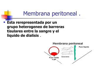 Membrana peritoneal .
   Esta rerepresentada por un
    grupo heterogeneo de barreras
    tisulares entre la sangre y el
    liquido de dialisis .
 