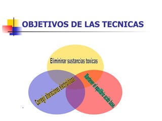 OBJETIVOS DE LAS TECNICAS





 