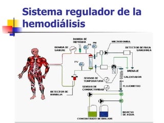 Sistema regulador de la
hemodiálisis
 