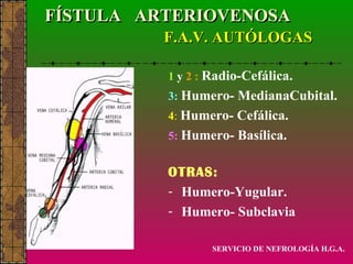 FÍSTULA  ARTERIOVENOSA   F.A.V. AUTÓLOGAS 1   y   2   :   Radio-Cefálica. 3:   Humero- MedianaCubital. 4 :   Humero- Cefálica. 5:   Humero- Basílica. OTRAS: Humero-Yugular. Humero- Subclavia SERVICIO DE NEFROLOGÍA H.G.A. 