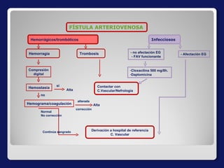 Compresión digital Hemostasia Alta Hemograma/coagulación Alta - no afectación EG  - FAV funcionante Cloxacilina 500 mg/8h. Daptomicina  - Afectación EG  FÍSTULA ARTERIOVENOSA Hemorrágicos/trombóticos Infecciosos Hemorragia Trombosis si no alterada corrección Normal No corrección Continúa sangrado Contactar con  C.Vascular/Nefrología Derivación a hospital de referencia C. Vascular 