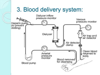 3. Blood delivery system:
 
