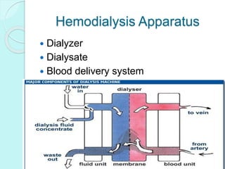 Hemodialysis Apparatus
 Dialyzer
 Dialysate
 Blood delivery system
 