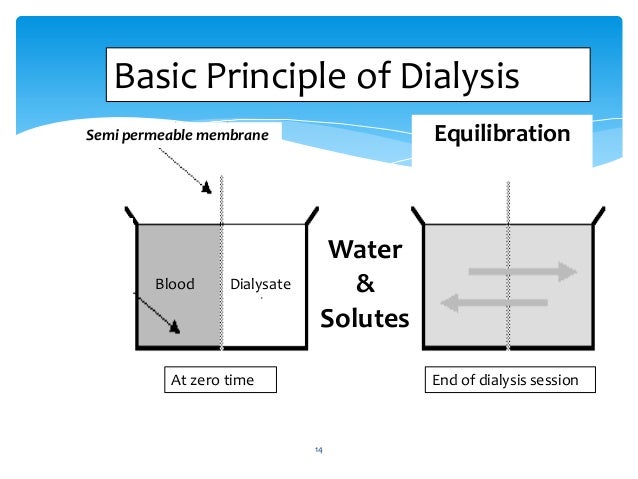 Hemodialysis training course Bahrain Specialsit Hospital June 2013