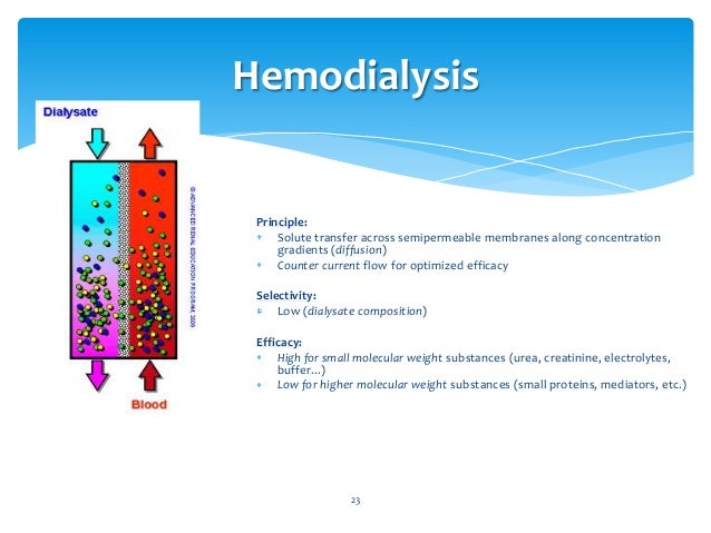 Hemodialysis training course Bahrain Specialsit Hospital June 2013