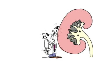 Hemodiálise e diálise peritoneal