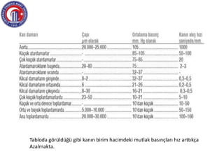 Tabloda görüldüğü gibi kanın birim hacimdeki mutlak basınçları hız arttıkça
Azalmakta.
 