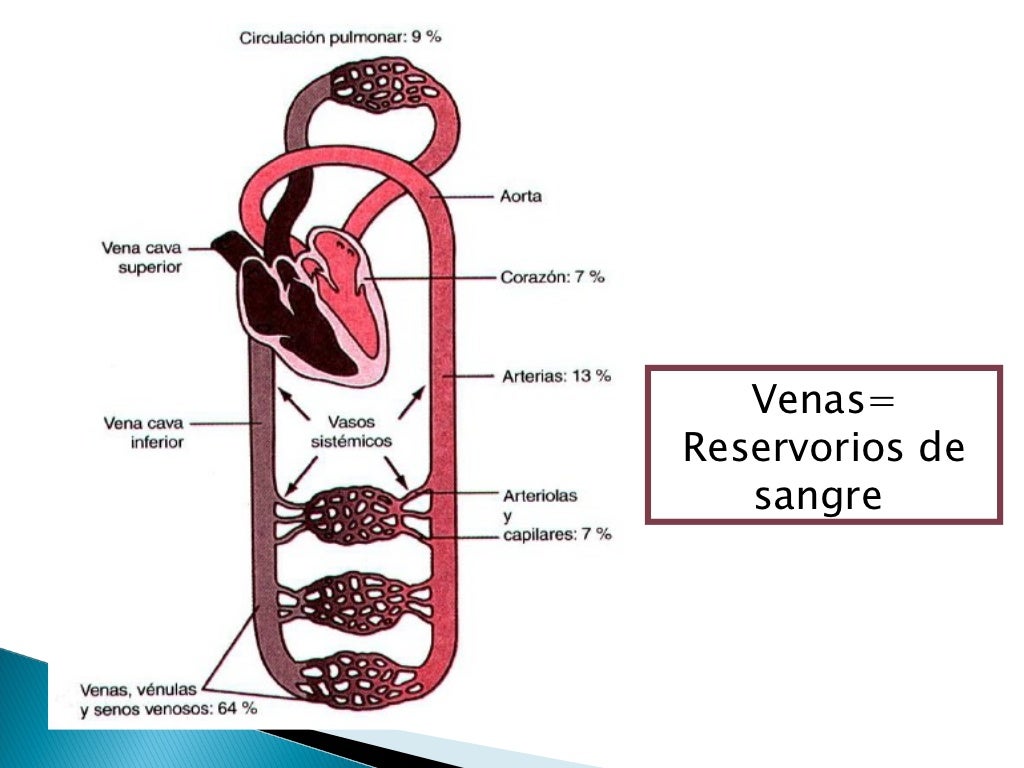 Hemodinamia