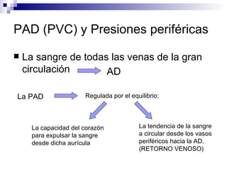 PAD (PVC) y Presiones periféricas

   La sangre de todas las venas de la gran
    circulación       AD

La PAD                 Regulada por el equilibrio:




      La capacidad del corazón            La tendencia de la sangre
      para expulsar la sangre             a circular desde los vasos
      desde dicha aurícula                periféricos hacia la AD.
                                          (RETORNO VENOSO)
 