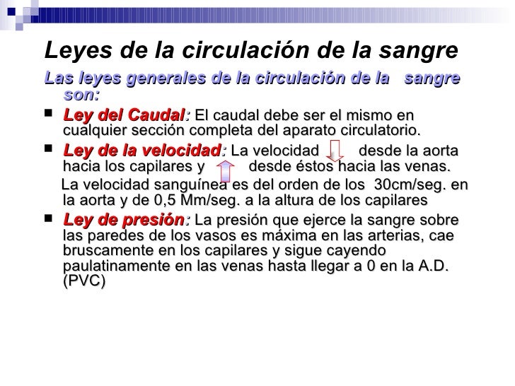 Hemodinamia