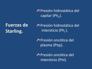 Fuerzas de
Starling.
Presión hidrostática del
capilar (PhC).
Presión hidrostática del
intersticio (Phi ).
Presión oncótica del
plasma (Pπp).
Presión oncótica del
intersticio (Pπi).
 