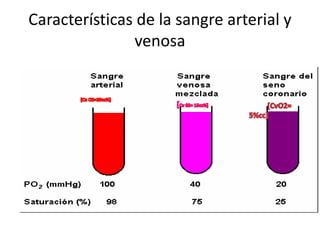Características de la sangre arterial y 
venosa 
 