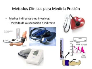 Métodos Clínicos para Medirla Presión 
• Medios indirectos o no invasivos: 
- Método de Auscultación o indirecto 
 