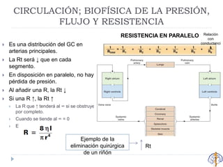 CIRCULACIÓN; BIOFÍSICA DE LA PRESIÓN,
FLUJO Y RESISTENCIA
 Es una distribución del GC en
arterias principales.
 La Rt será ↓ que en cada
segmento.
 En disposición en paralelo, no hay
pérdida de presión.
 Al añadir una R, la Rt ↓
 Si una R ↑, la Rt ↑
 La R que ↑ tenderá al ∞ si se obstruye
por completo.
 Cuando se tiende al ∞ = 0
 Ejemplo:
RESISTENCIA EN PARALELO
Ejemplo de la
eliminación quirúrgica
de un riñón
Relación
con
conductanci
a
Rt
 