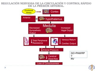 Vasovagal Syncope
Medulla
Arterial Pressure
Loss of Consciousness
Total Peripheral
Resistance
Venous Return
Cardiac Output
Emotional
Stress
Cerebral
blood flow
hypothalamus
Anterior
Decreased
Sympathetic
Output
Increased
Vagal Ouput
Cortex
GC=PAM/RP
T
RV
REGULACIÓN NERVIOSA DE LA CIRCULACIÓN Y CONTROL RÁPIDO
DE LA PRESIÓN ARTERIAL.
 