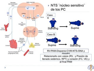  NTS ¨núcleo sensitivo¨
de los PC
SupineStanding
Caso
A
Caso B
Supine Standing
RV-PAM-Disparos-CVM-NTS-SNA y
SNAPS
Relacionarlo con vasos (RV, y Presión de
llenado sistémico, RPT) y corazón (FC, VE) y
al final PAM
 