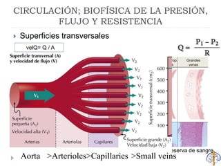 CIRCULACIÓN; BIOFÍSICA DE LA PRESIÓN,
FLUJO Y RESISTENCIA
 Superficies transversales
Reserva de sangre
velQ= Q / A
Aorta >Arterioles>Capillaries >Small veins
 