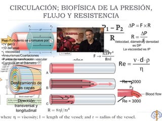CIRCULACIÓN; BIOFÍSICA DE LA PRESIÓN,
FLUJO Y RESISTENCIA
 PRINCIPIOS BÁSICOS
 La velocidad del flujo se
controla por la necesidad del
tejido.
 El GC se controla por la suma
de los flujos tisulares locales.
 La regulación de la PA
generalmente es
independiente del Q local y
del control del GC
Ley de
Poiseuille
Re = 2000
Re = 3000
Flujo Turbulento se promueve por:
•↑V del Q
•↑D del vaso
•↓ viscosidad
•Aneurismas/Coartaciones
•Puntos de ramificación vascular
•Cambios en el Diámetro
Deslizamiento de
las capas
Dirección
transversal y
longitudinal
Velocidad, diámetro y densidad
es DP
La viscosidad es IP
 