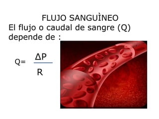 FLUJO SANGUÌNEO
El flujo o caudal de sangre (Q)
depende de :
Q=
∆P
R
 